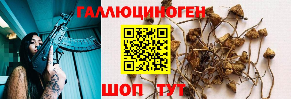 Псилоцибиновые грибы Psilocybe  Галлюциногенные грибы MAGIC MUSHROOMS  Горячий Ключ  Вход с VPN 