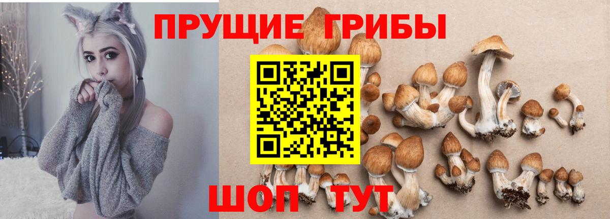 Галлюциногенные грибы GOLDEN TEACHER Горячий Ключ
