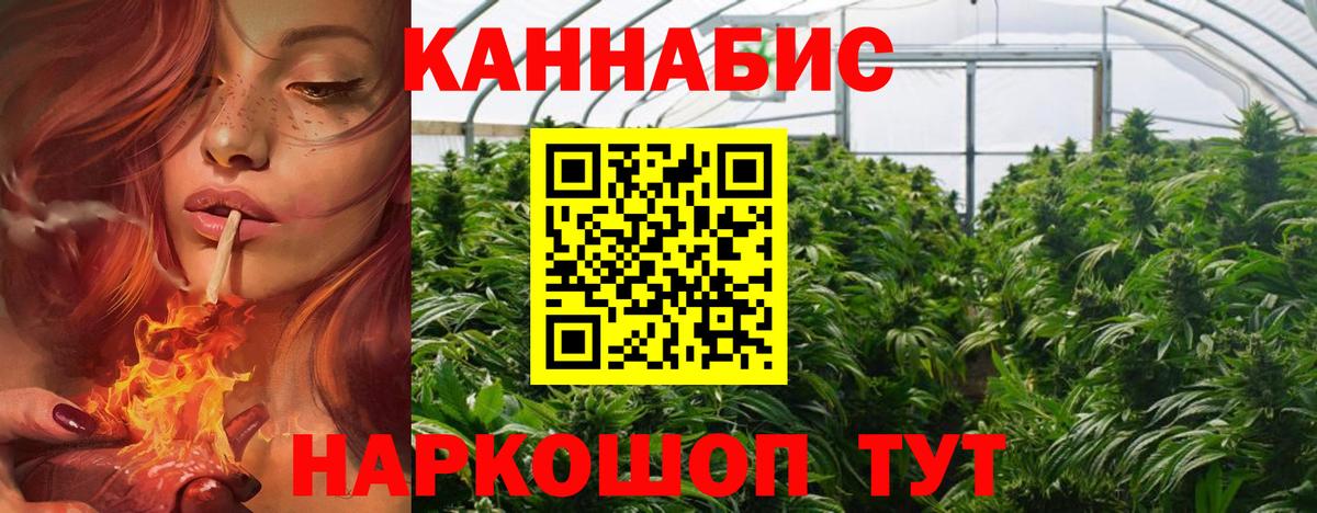 Конопля конопля Горячий Ключ
